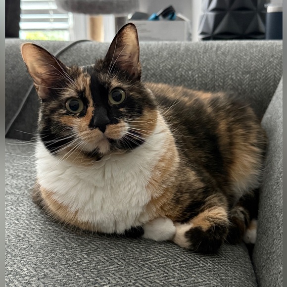 Meet your Posher! - Picture 7 of 9